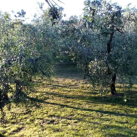 Nocleg ze śniadaniem Bigotti