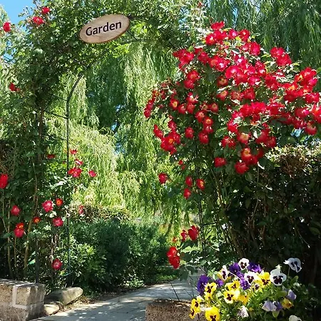 Nocleg ze śniadaniem Bigotti