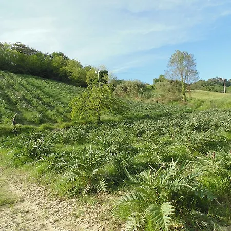 Bigotti Frühstückspension 3*