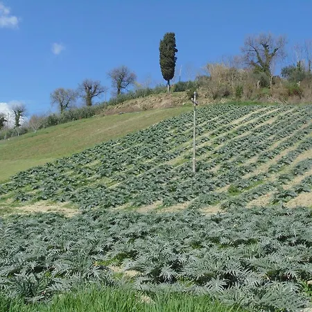 Frühstückspension Bigotti