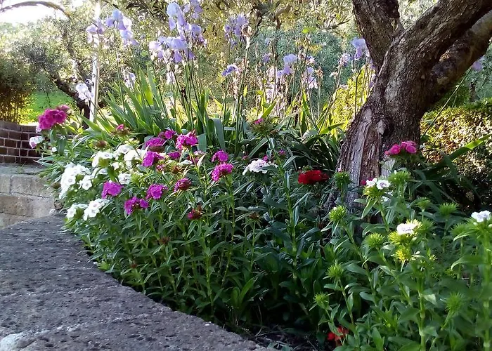 Bed & Breakfast Bigotti 3*