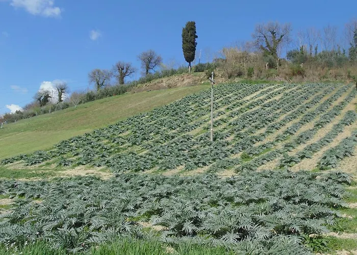 Bed & Breakfast Bigotti